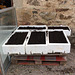 Polystyrene salmon boxes recycled for herb beds.