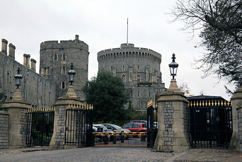 Windsor 5