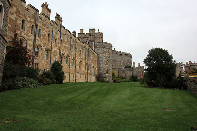 Windsor 9