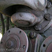 zf ak6-80 039
