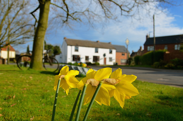 Spring in Haughton