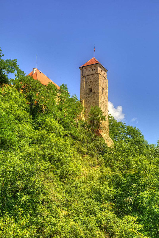 Veveří Castle 18