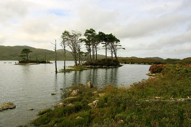 Loch Assynt