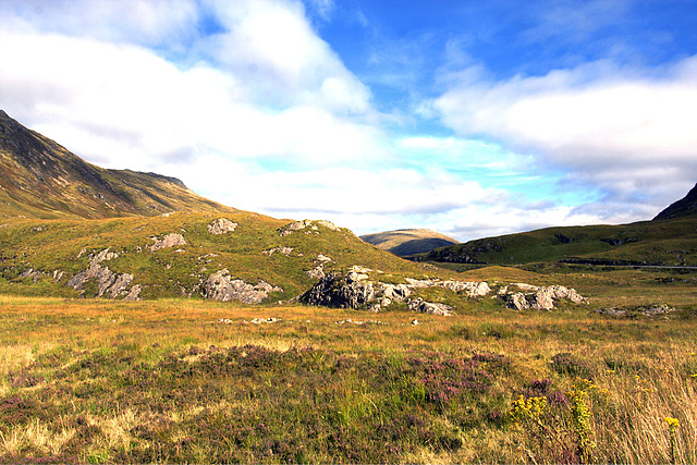 Scottish View