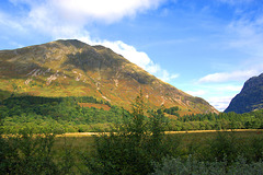 Glencoe 6