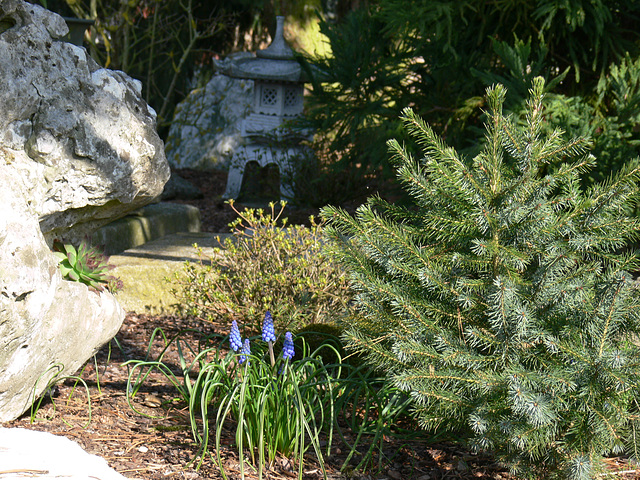 japanische Steinlampe in deutschem Garten