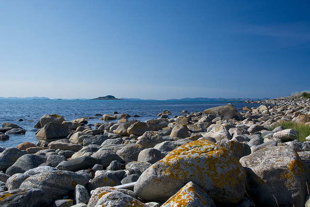 Grunnfarnes