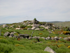 La Lozère en rando10 2011 017 (7)