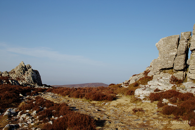 Stiperstones Ridge