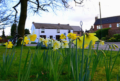 Haughton, Staffordshire