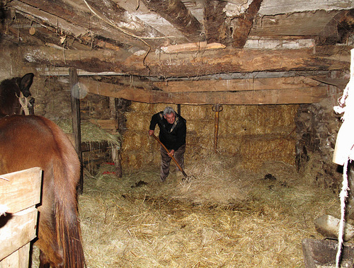 For grand father it is work as usual.