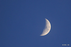 Early Evening Moon in a clear blue sky