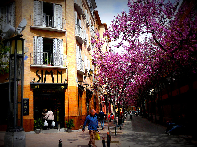 PRIMAVERA EN ZARAGOZA