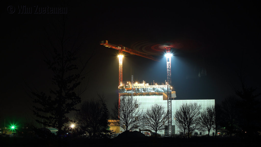 Dance of the Cranes #2