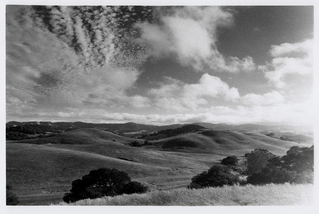 Petaluma Hills