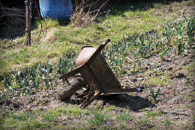 Accident de brouette