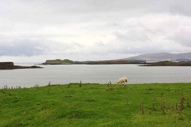 Isle Of Skye 25