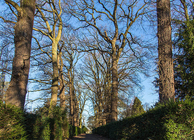 20140223 0185VRAw [D-LIP] Schloss Stietencron, Park