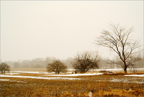 The Endless Winter