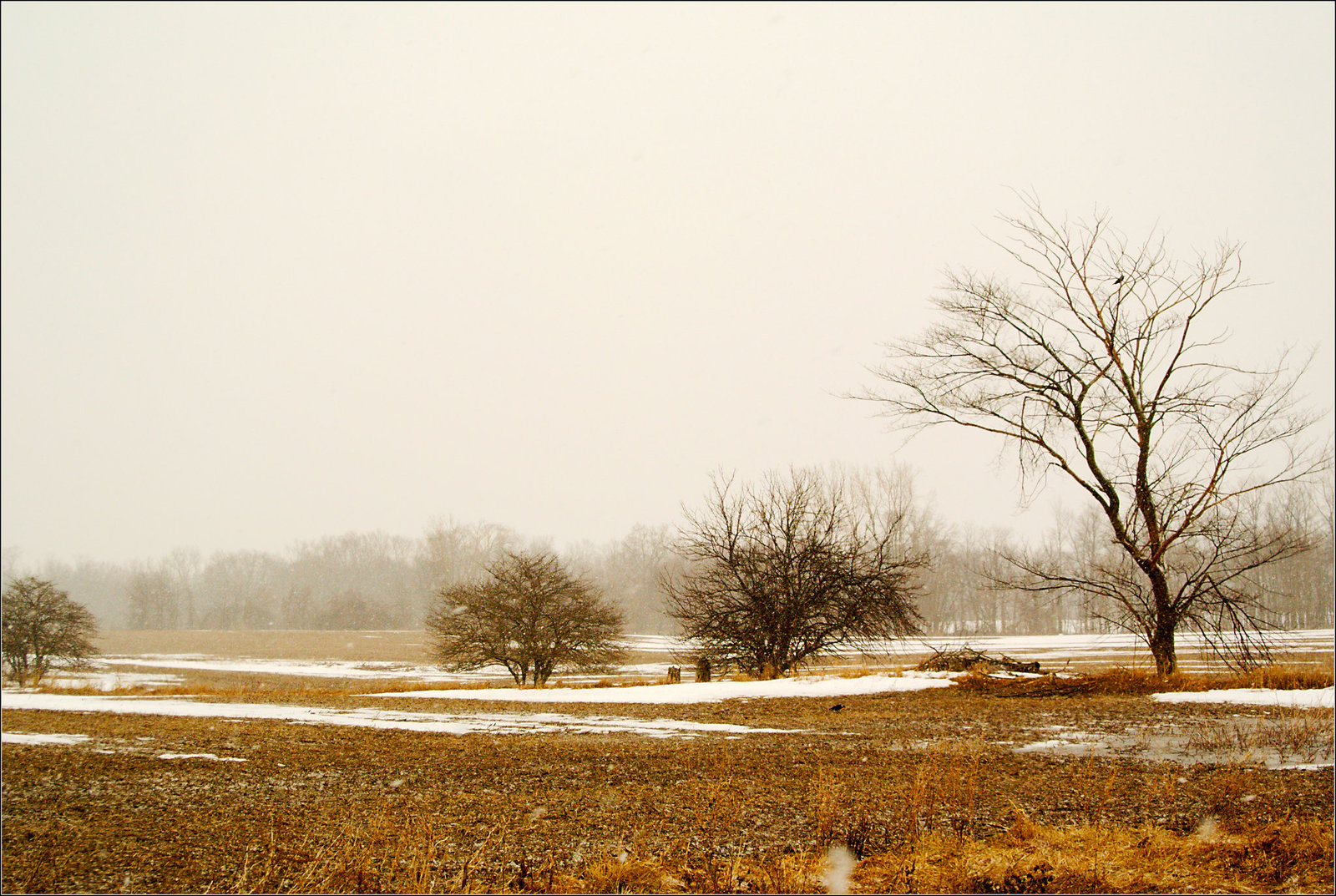 The Endless Winter