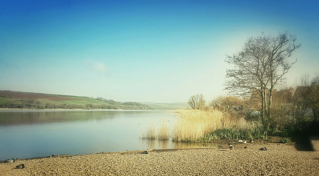 Good morning Slapton Leigh  - 20140325 [mobile]