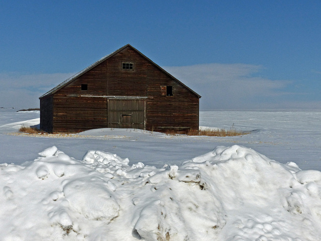 Winter in Alberta