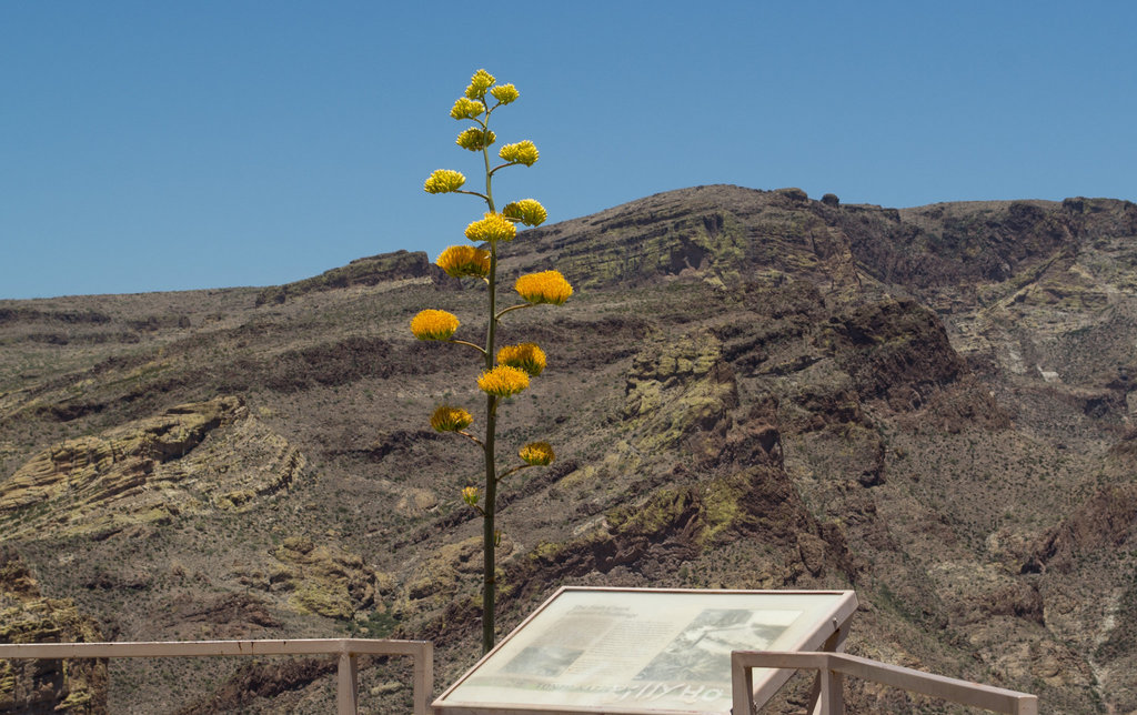 Apache Trail Fish Creek grade overlook (1878)