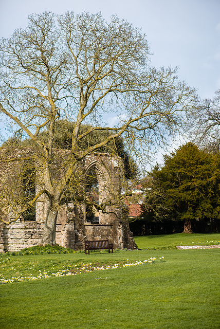 Glastonbury Abbey - 20140322