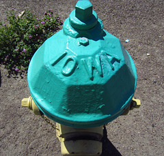 Iowa fire hydrant in Cathedral City (2135)