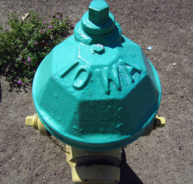 Iowa fire hydrant in Cathedral City (2135) Iowa fire hydrant in Cathedral City (2135)