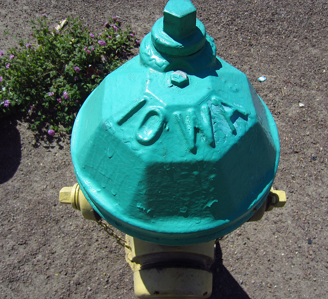 Iowa fire hydrant in Cathedral City (2136)