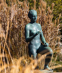 20140310 0772VRAw [D-E] Skulptur, Schilfrohr (Phragmites australis), Gruga-Park, Essen