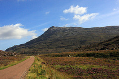 Glen Torridon