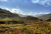 Glen Torridon 5