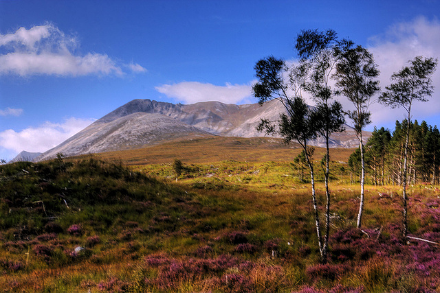 Glen Torridon 12