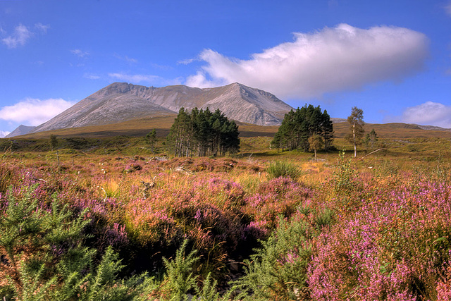 Glen Torridon 13