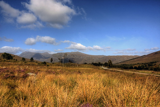 Glen Torridon 14