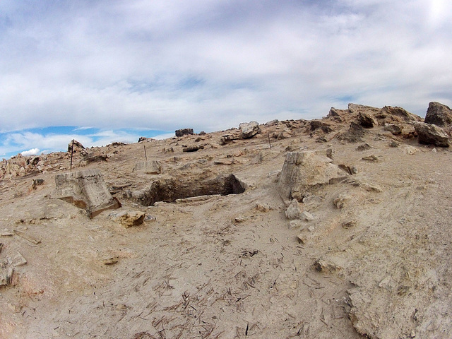 Mullet Island (1472)