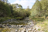 A Beck Near Loch Clair 1