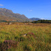 Slioch