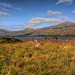 Loch Maree 2