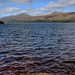 Loch Maree 4