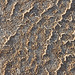 Salt crust pattern, Lake Gilles