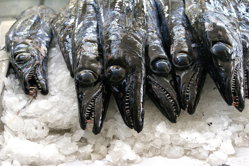 Funchal. Mercado dos Lavradores. Degenfische / Espada. ©UdoSm