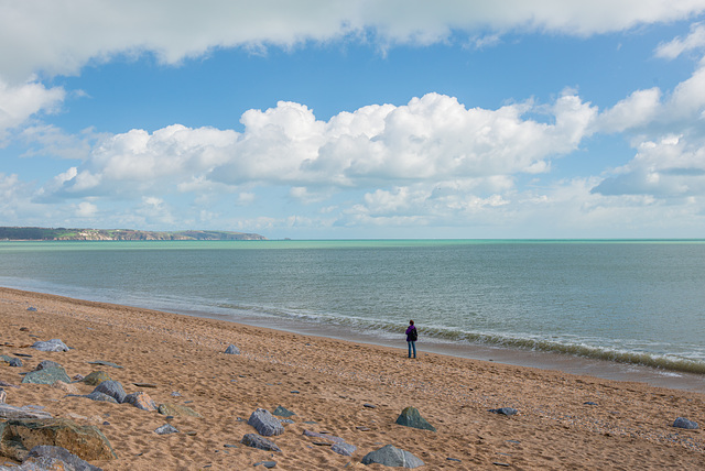 Torcross - 20140323