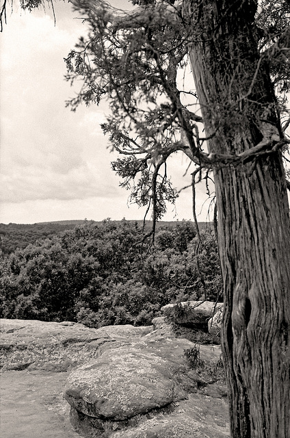 Garden Of The Gods Vista