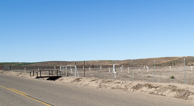 Guadalupe cemetery (1225)