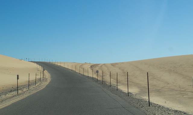 Guadalupe dunes (1214)