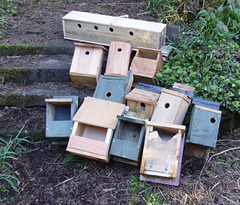 O&S - bird boxes