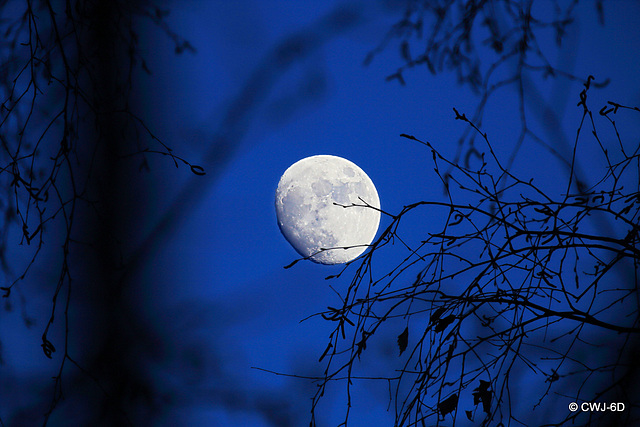 It's that time of the month again - Full moon on St Valentine's Day